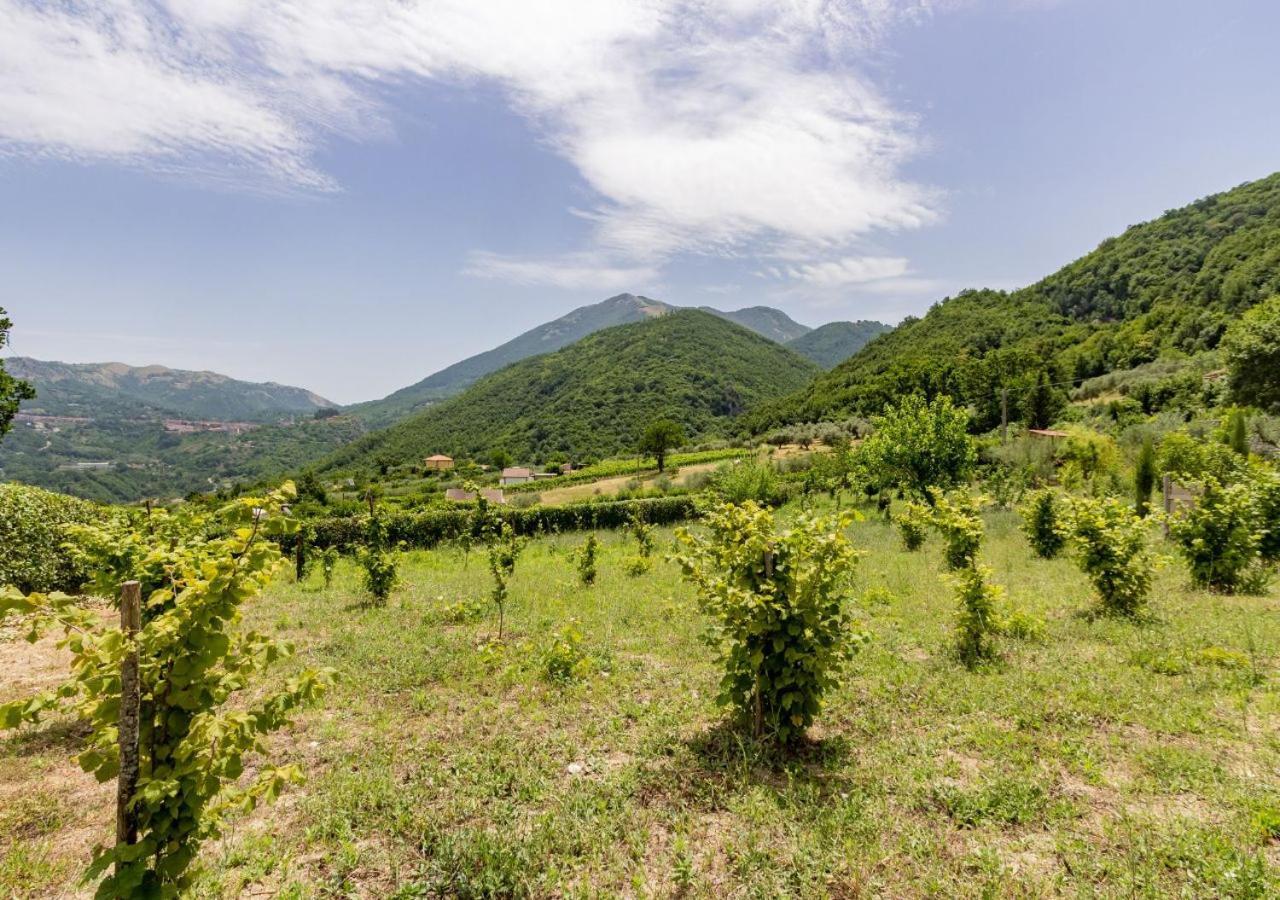 Agriturismo La Vammora Villa Laviano Exterior photo